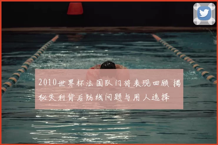 2010世界杯法国队门将表现回顾 揭秘失利背后防线问题与用人选择