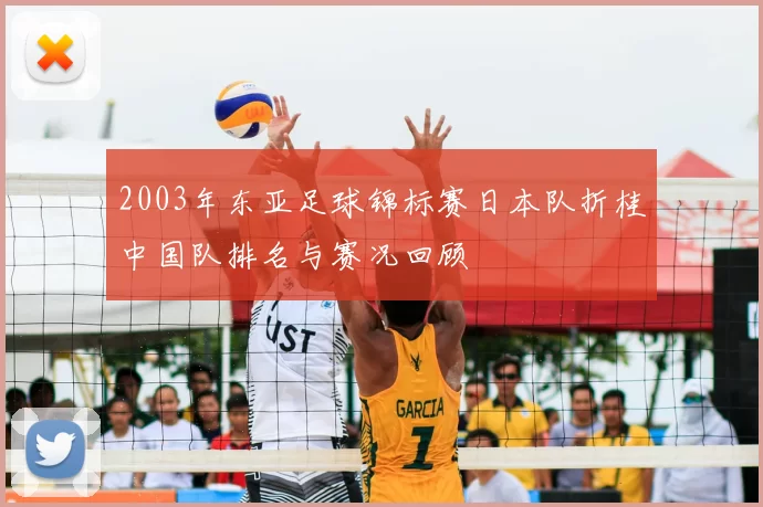 2003年东亚足球锦标赛日本队折桂中国队排名与赛况回顾